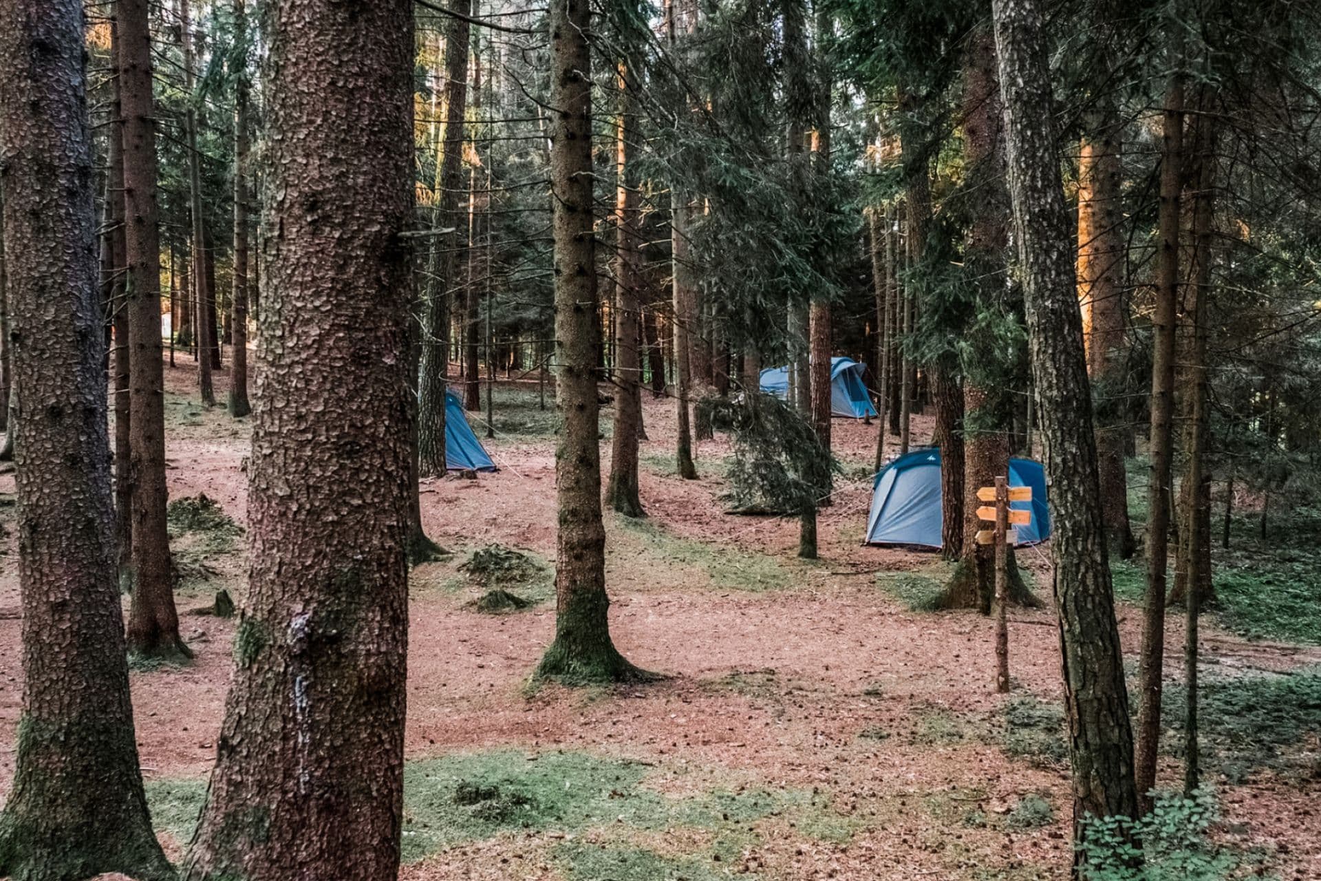 Camping und Wandern im Herbst