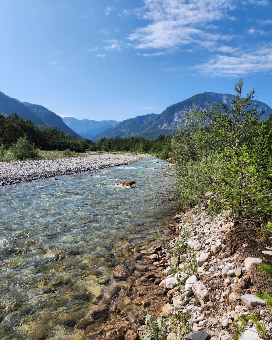Idyllisches Plätzchen am Bach