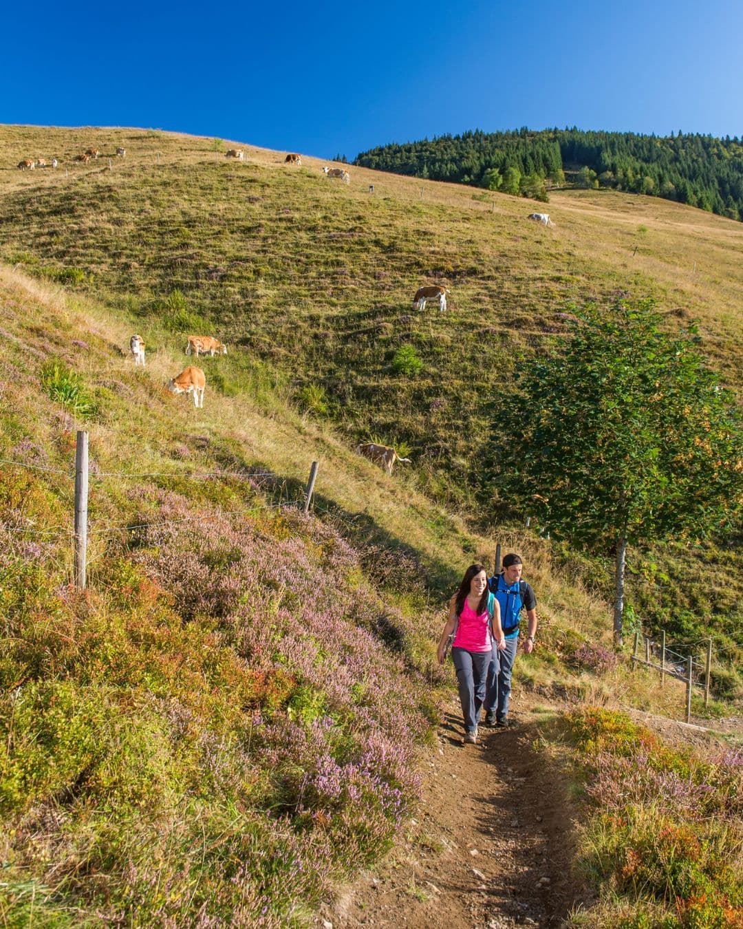 Tag 2: Görwihl - Wittenschwand