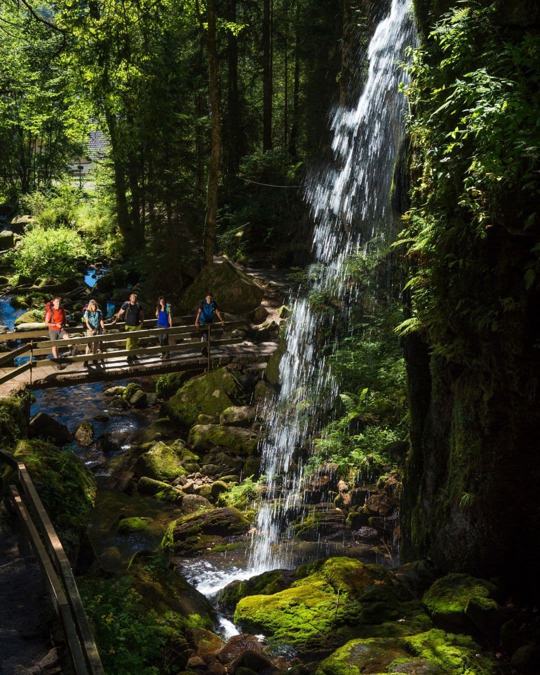 Zelten im Schwarzwald - bewusst, legal und unvergesslich