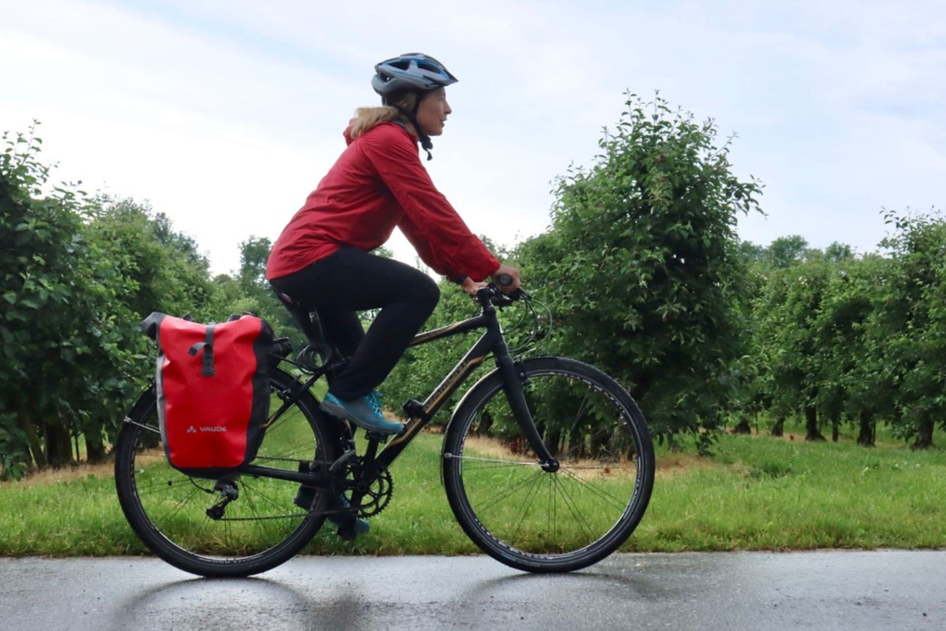 Rhein-Route mit dem Fahrrad