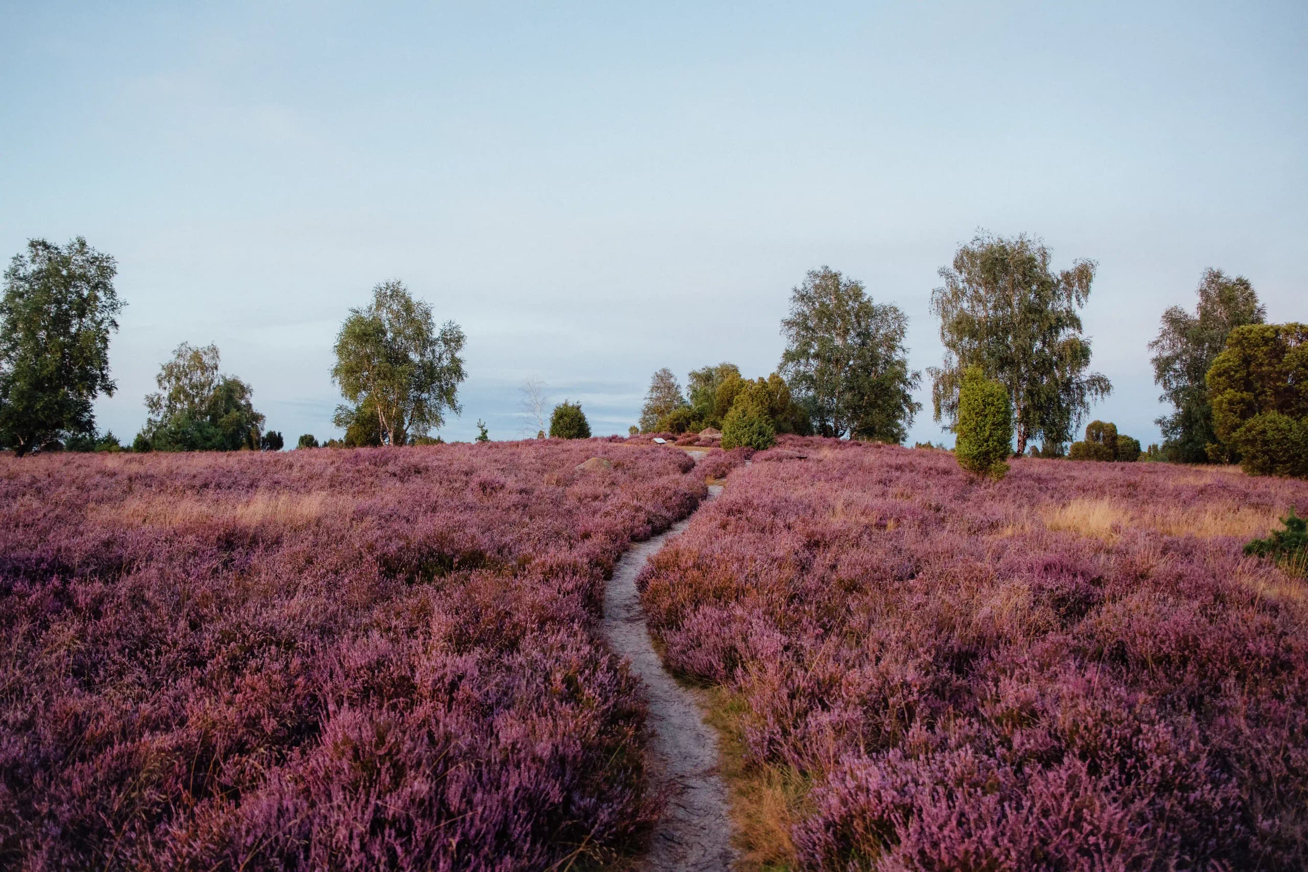 Naturcamping in der Lüneburger Heide