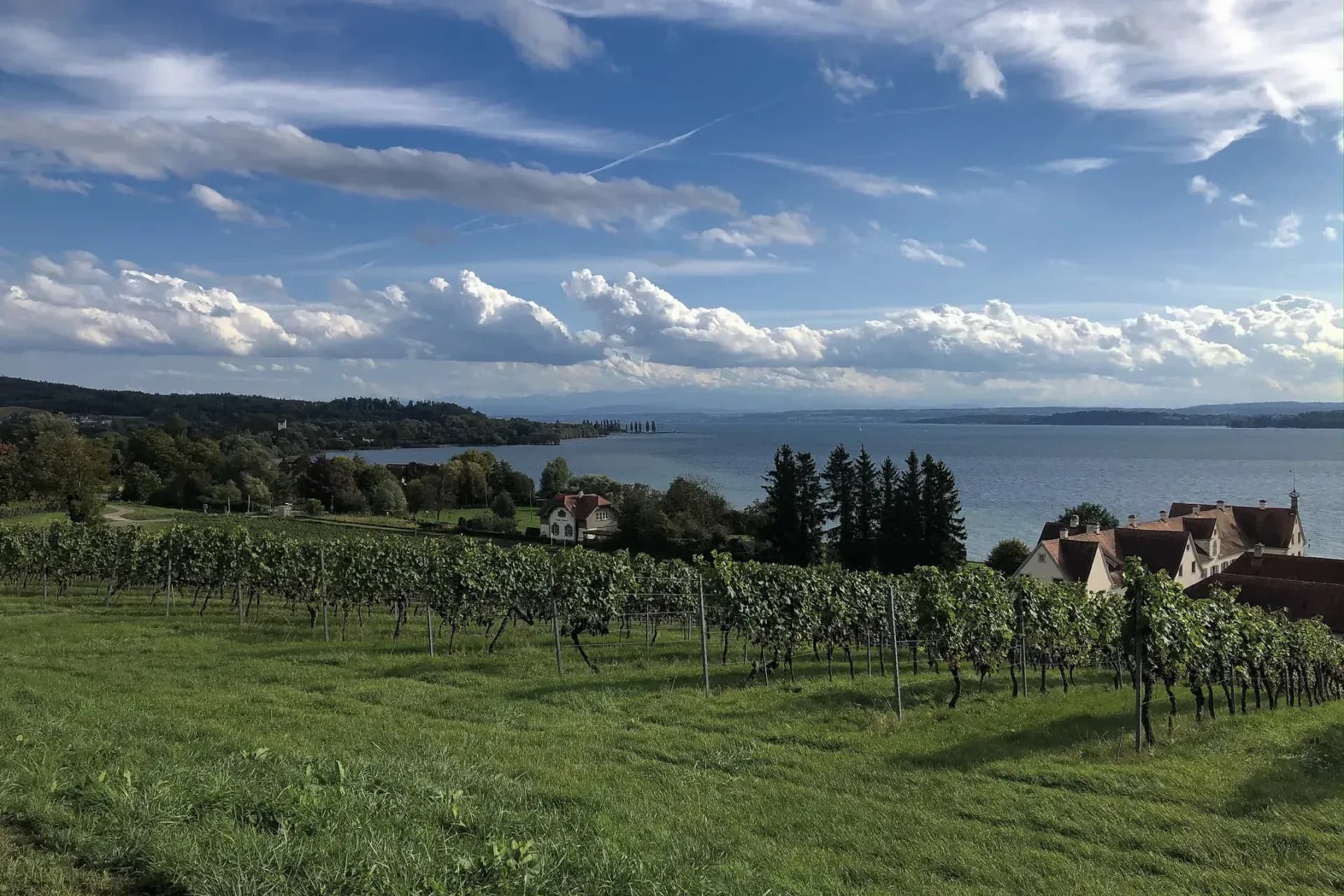 Naturcamping Bodensee: Grün, herzlich & verantwortungsvoll