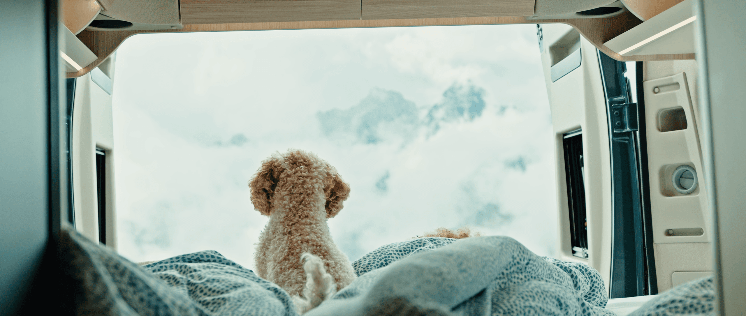 Wohnmobil mieten mit Hund