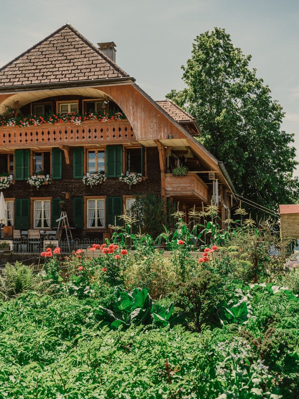 Warum Bayern ideal für Glamping ist